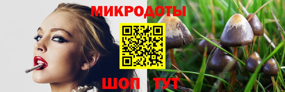 Галлюциногенные грибы MAGIC MUSHROOMS Тосно
